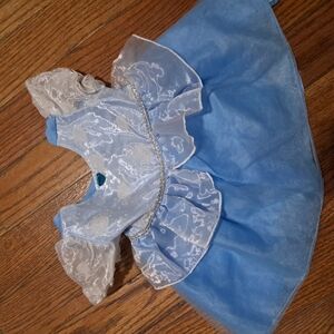 Disney Blue and White Princess Costume